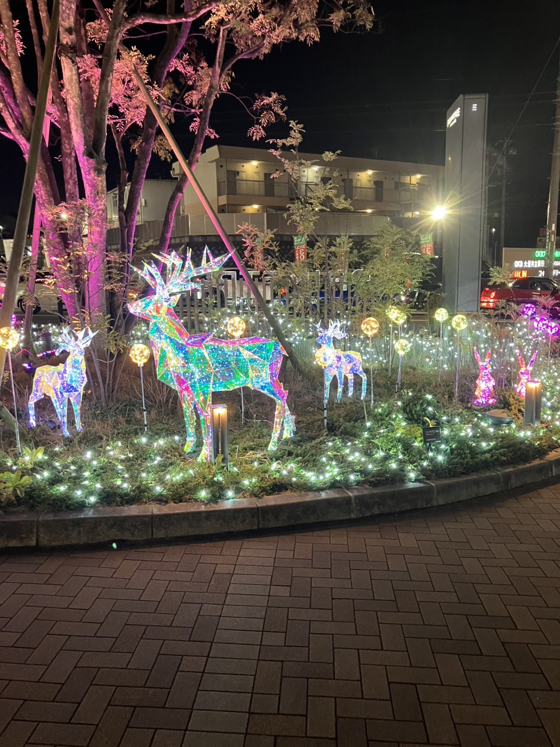 夜に光る鹿のイルミネーション